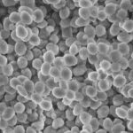 Titanium Silicalite (TS)