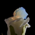 Aerogel Materials