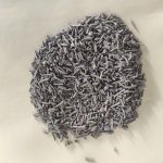 MCS Hydrogenation Refining Catalyst