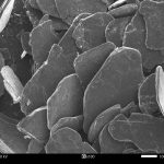 Natural Flake Graphite