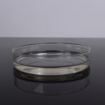 Lithium Silicate Solution