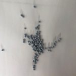 High-Efficiency Organic Sulfur Hydrogenation Catalyst