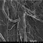 High-Quality Nano Single-Walled Carbon Nanotubes (SWCNT)