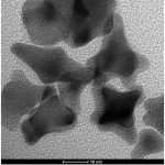 Gold Nanostars