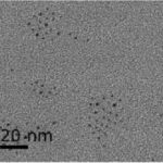 Nanoplatinum Particles (Amino-Terminal)