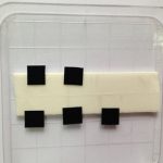 Vertical Array of Multi-Walled Carbon Nanotubes (MWCNTs) on Stainless Steel and Copper Substrates