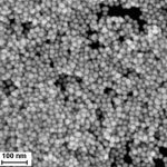 Oil-Soluble Gold Nanoparticles
