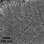 Oil-Soluble Gold Nanorods