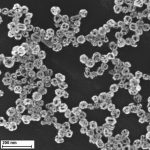 Oil-Soluble Gold Nanocages