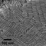 PEGylated Gold Nanorods