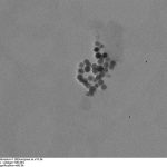 Fe₃O₄@SiO₂ Core-Shell Nanoparticles