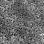 Copper Oxide Dispersion Liquid (CuO)