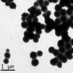 Silica-Coated Magnetic Nanoparticles Dispersions