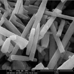 Silicon Carbide Nanowhiskers