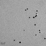 CTAB-Modified Gold Nanoparticles