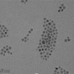 PEGylated Ultra-Small Fe₃O₄ Nanoparticles (High-Temperature Pyrolysis Method)