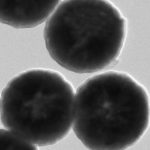 Silica-Coated Magnetic Nanoparticles