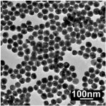 PEI-Modified Silver Nanoparticles