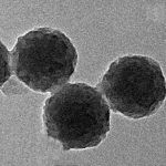 Mesoporous Polydopamine Nanoparticles