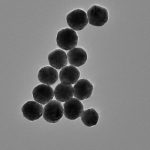 Silver Nanoparticles (Ag NPs)