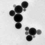 Selenium Nanoparticles (SeNPs)