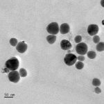 Selenium Nanoparticles (Negatively Charged)