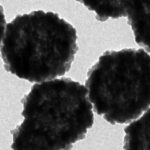Hollow Mesoporous Fe₃O₄ Nanoparticles