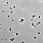 Glycyrrhizin Micelles