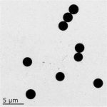 Carboxylated Solid Silica Nanoparticles