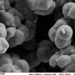 Titanium Dioxide Magnetic Beads