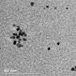 Nanoplatinum Particles (Carboxyl-Terminated)