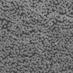 Monodisperse Fe₃O₄ Microspheres