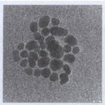 Streptavidin-Modified Iron Oxide Particles (SA@Fe₃O₄)