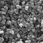 Nitrogen-Doped Mesoporous Carbon Spheres (NMCS)