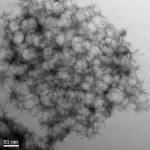 Nanoporous Carbon Powder (NCP)