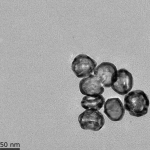 Hollow Gold Nanoshells