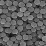 Carboxylated Dextran-Modified Fe₃O₄ Nanoparticles