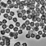 Hollow Mesoporous Titanium Dioxide Nanoparticles