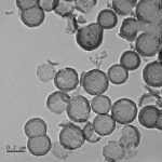 Hollow Mesoporous Carbon Spheres