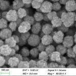 Aminated Fe₃O₄ (Iron Oxide) Nanoparticles