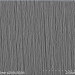 Carbon Nanotube Vertical Array on Silica Substrate