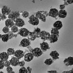 Mesoporous Cerium Oxide Nanoparticles (CeO₂ NPs)