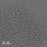 Copper Nanoclusters