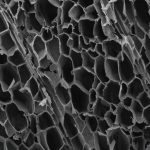 Polyaniline Rods