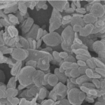 Hydroxylated Boron Nitride Nanosheets (BNNSs)