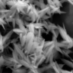 Copper Oxide Nanoplates (CuO)