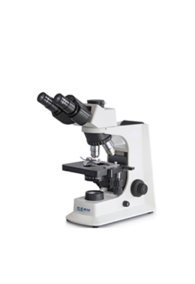 Optical 
Microscope