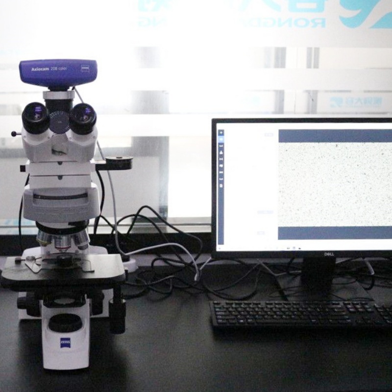 Metallographic Analysis
