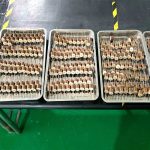 Zero-Sequence 3P Ceramic Capacitor