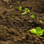 Soil Conditioner